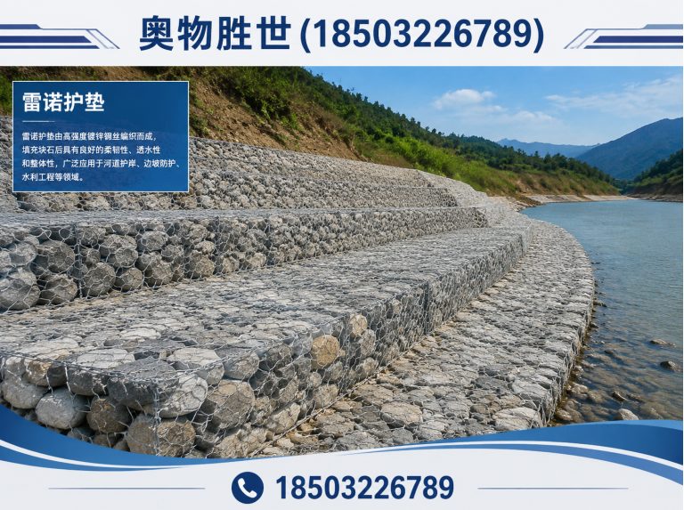黄冈雷诺护垫展示图
